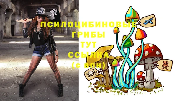 мет Алзамай