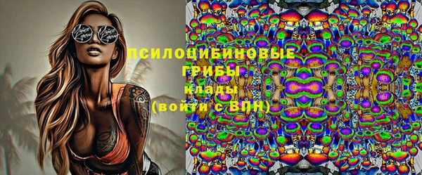 apvp Покровск