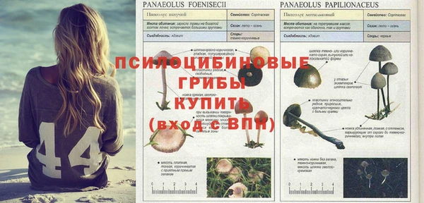 индика Алексеевка