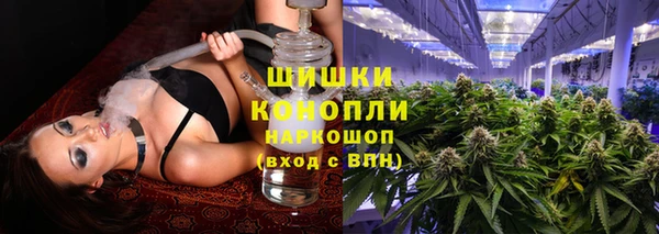 индика Алексеевка