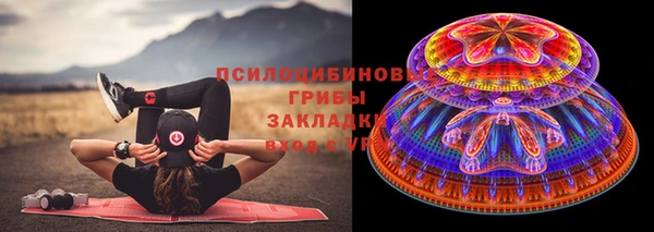 эйфоретик Алексин