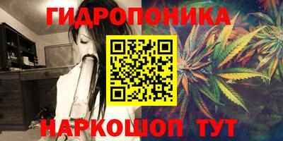 мяу мяу мука Апшеронск