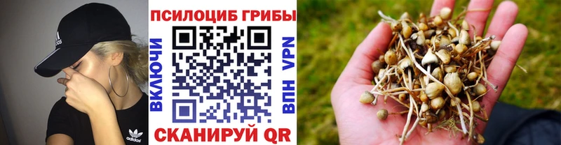 Галлюциногенные грибы ЛСД  где купить наркотик  Бахчисарай 