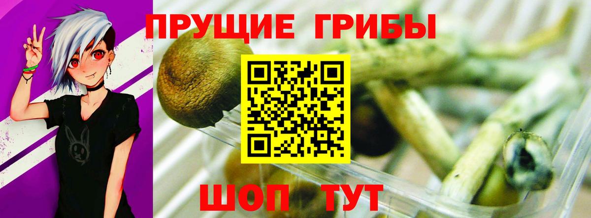 Галлюциногенные грибы Magic Shrooms  Псилоцибиновые грибы ЛСД  дарнет шоп  Вход с VPN  Бахчисарай 
